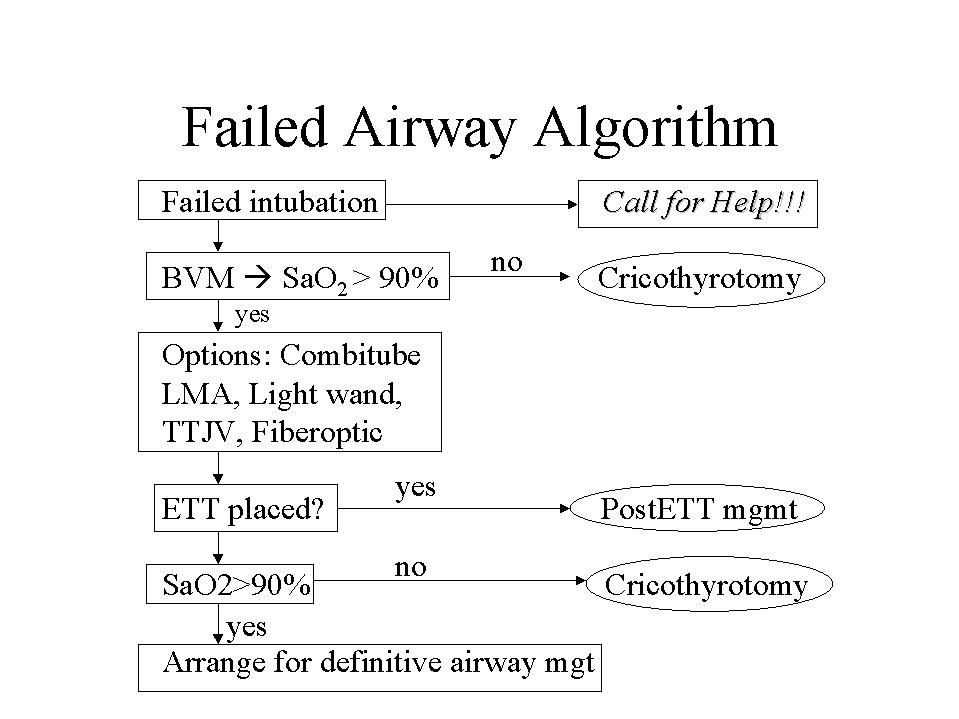 American Thoracic Society Endotracheal Intubation by Direct Laryngoscopy