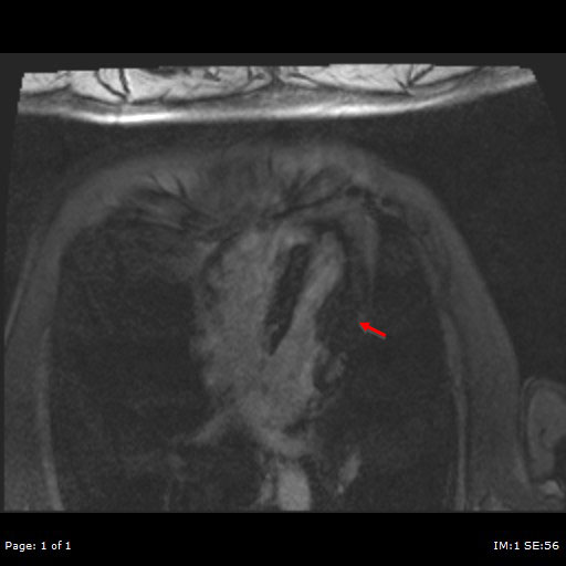 image4