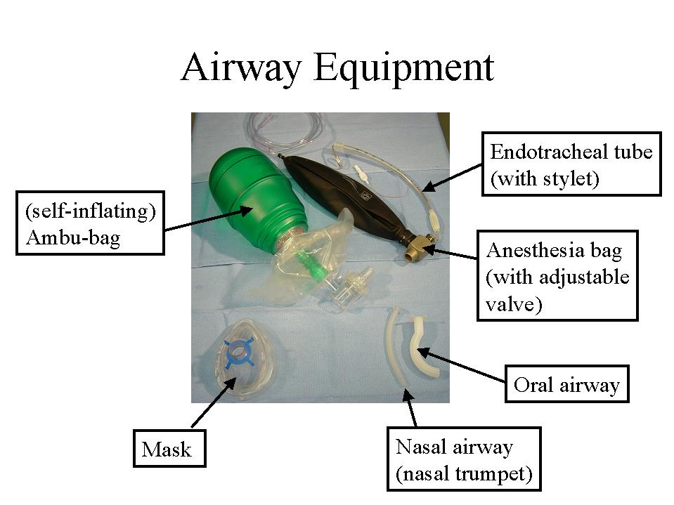 Endotracheal intubation procedure vrogue co