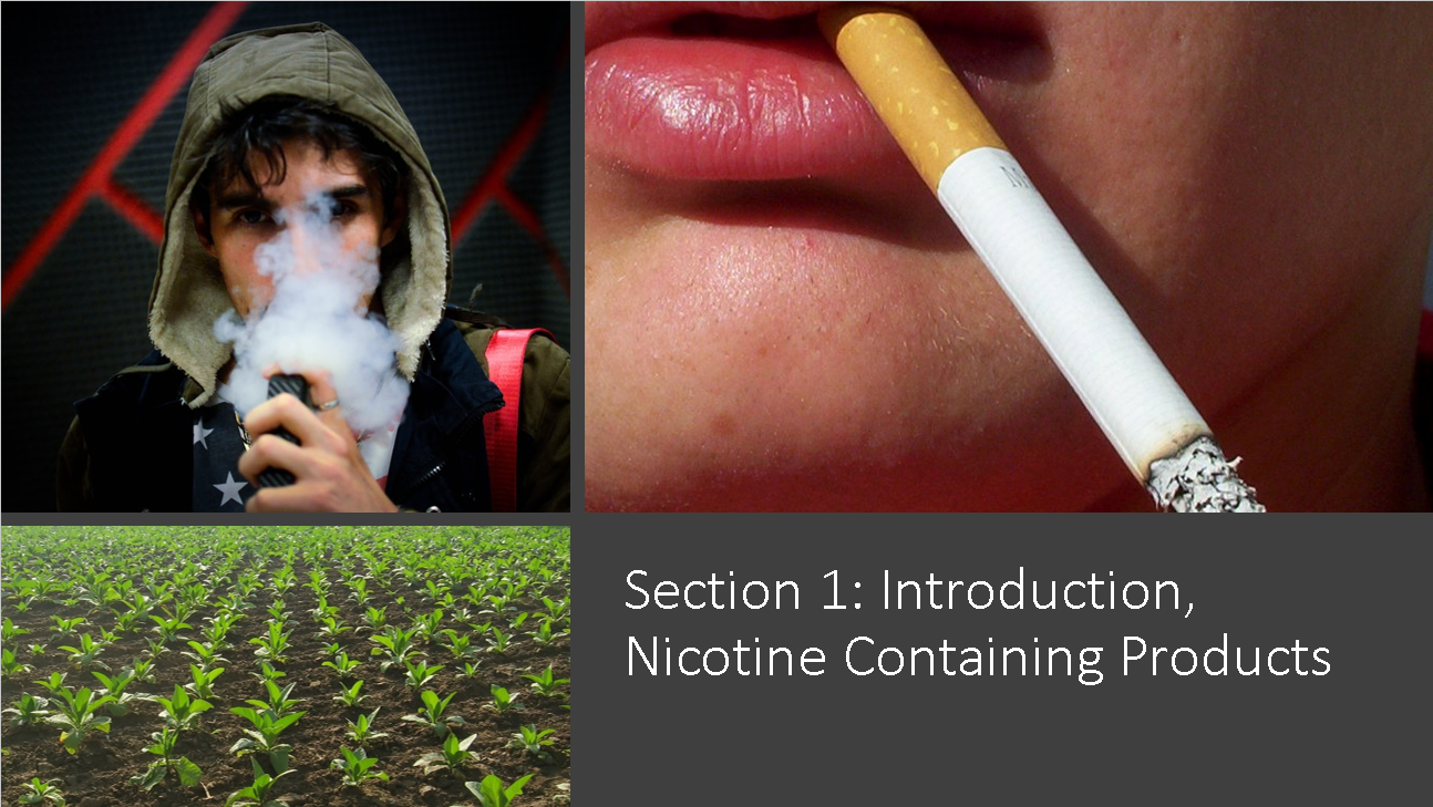 Introduction/Nicotine-Containing Products