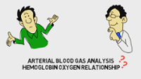 Decoding the oxygen and hemoglobin relationship
