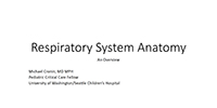 Overview of Respiratory Anatomy