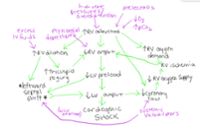 Pulmonary Hypertension in the Intensive Care Unit - Featuring the RV Death Spiral