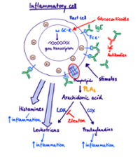 Treatment of Asthma